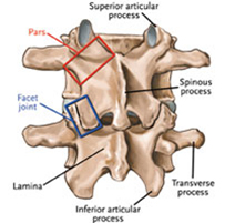 Facet joint and medical branch nerve injections